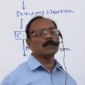 Home Tutor Deepak Kumar Sinha 851218 Tdd4c875d142ce2